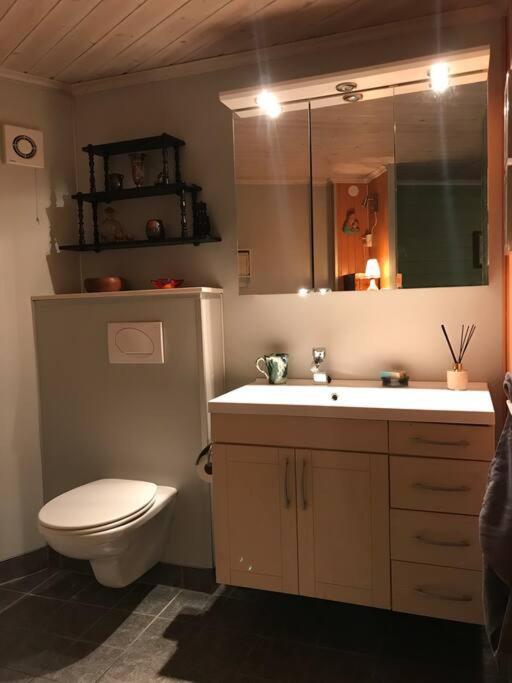 Leilighet Sjarmerende Hybel Med Eget Bad Og Egen Bakgård!